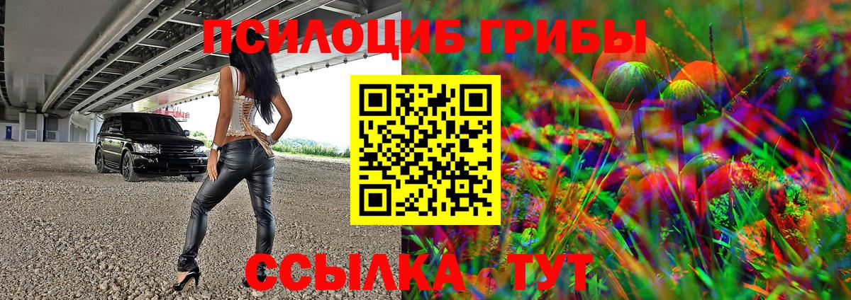 Галлюциногенные грибы GOLDEN TEACHER Мценск