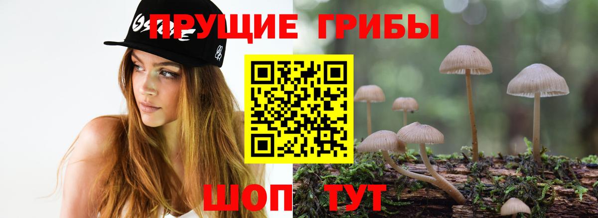 Галлюциногенные грибы GOLDEN TEACHER  Галлюциногенные грибы MAGIC MUSHROOMS  Вход с VPN  Мценск 